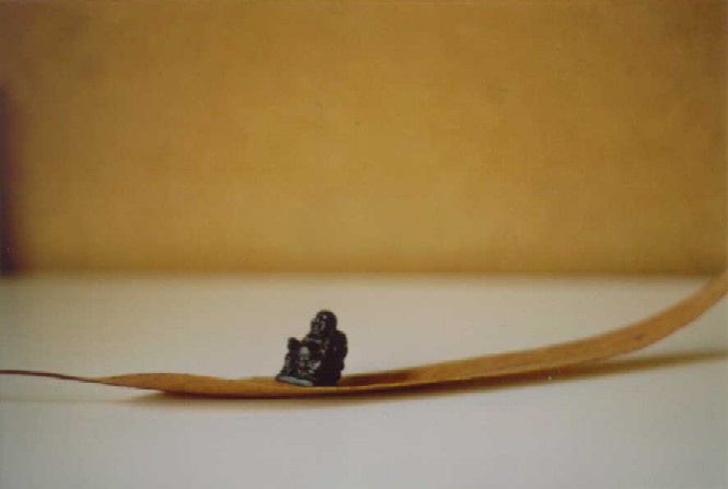 buddha on a leaf